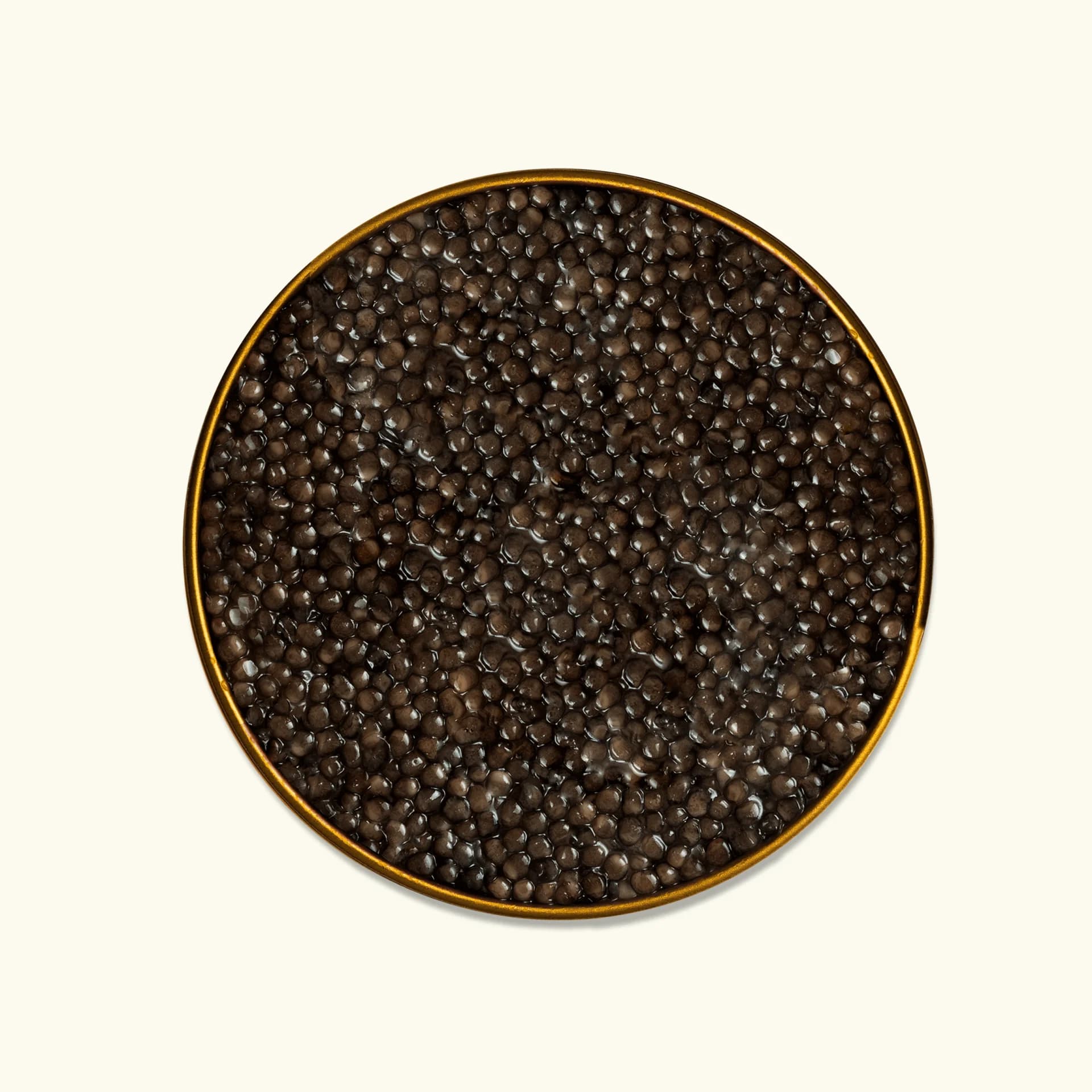 Kaluga Hybrid Caviar