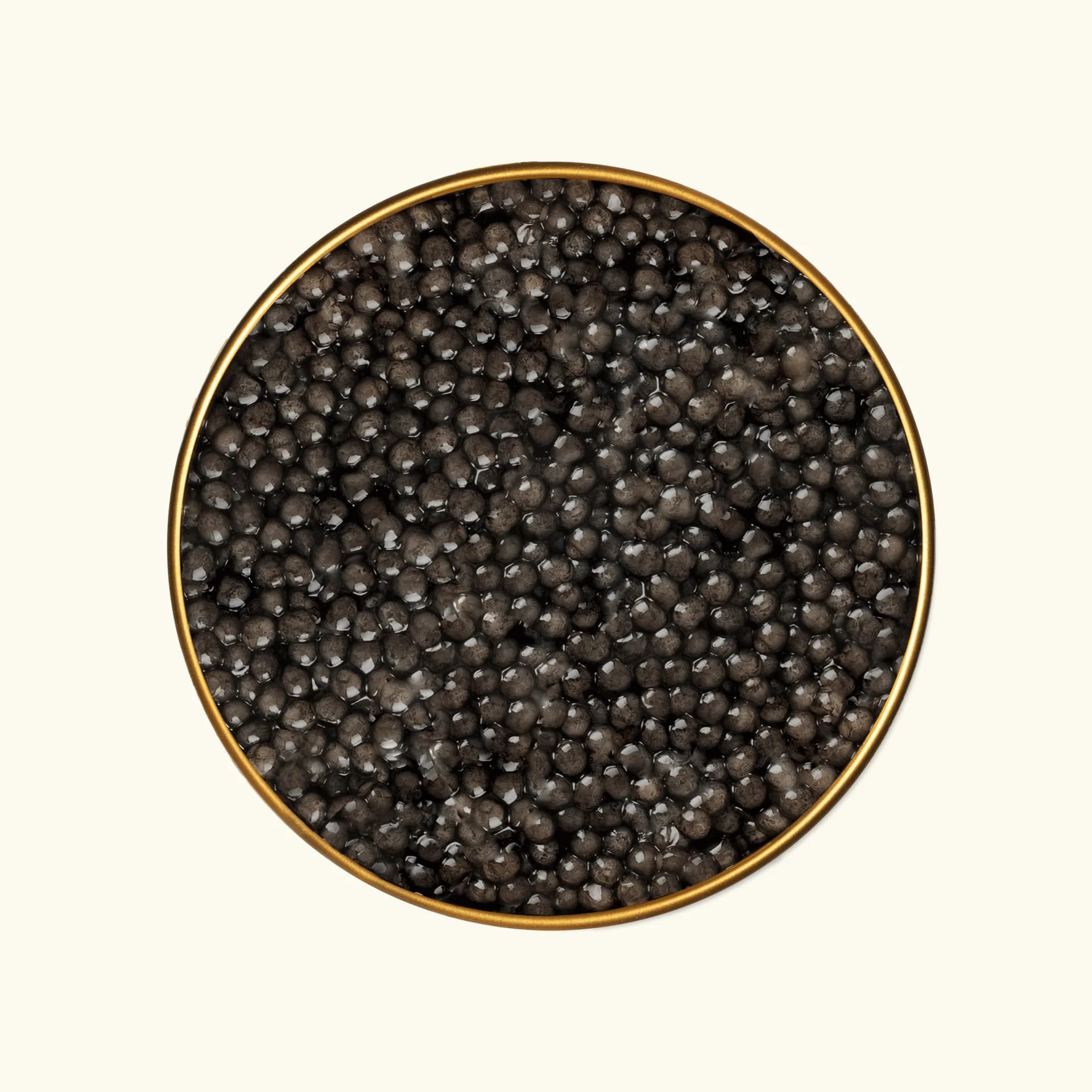 Beluga Hybrid Caviar