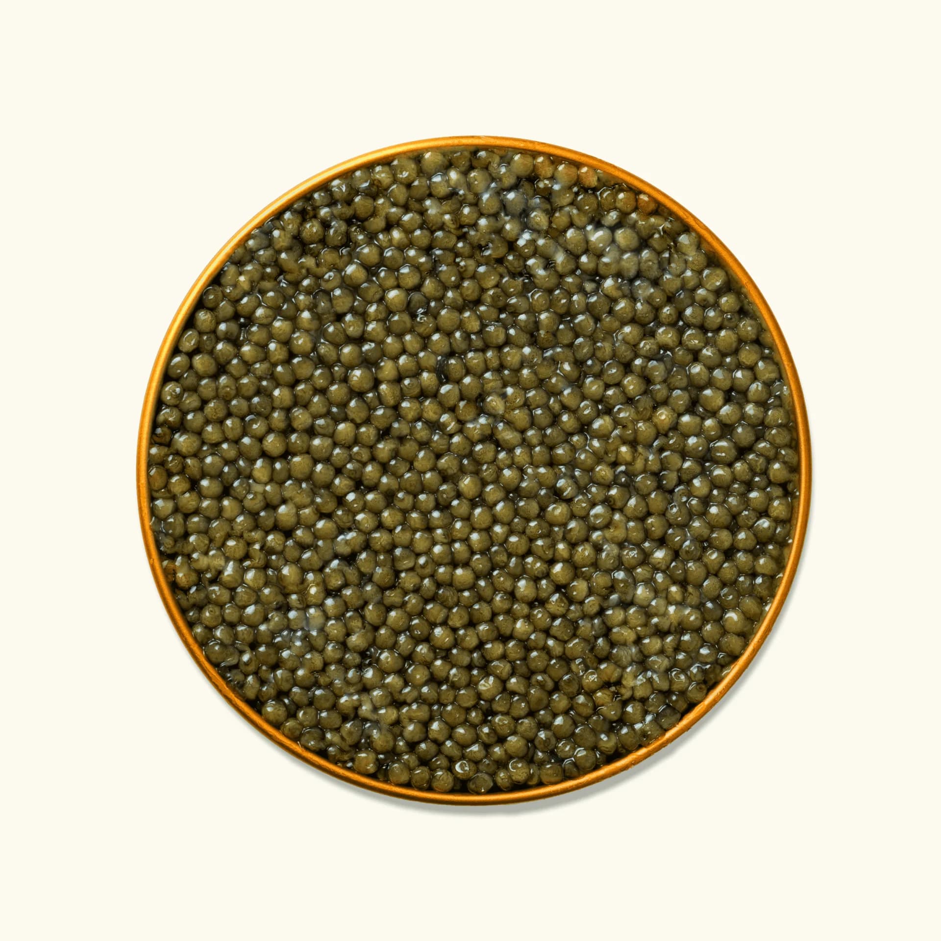 Sevruga Caviar