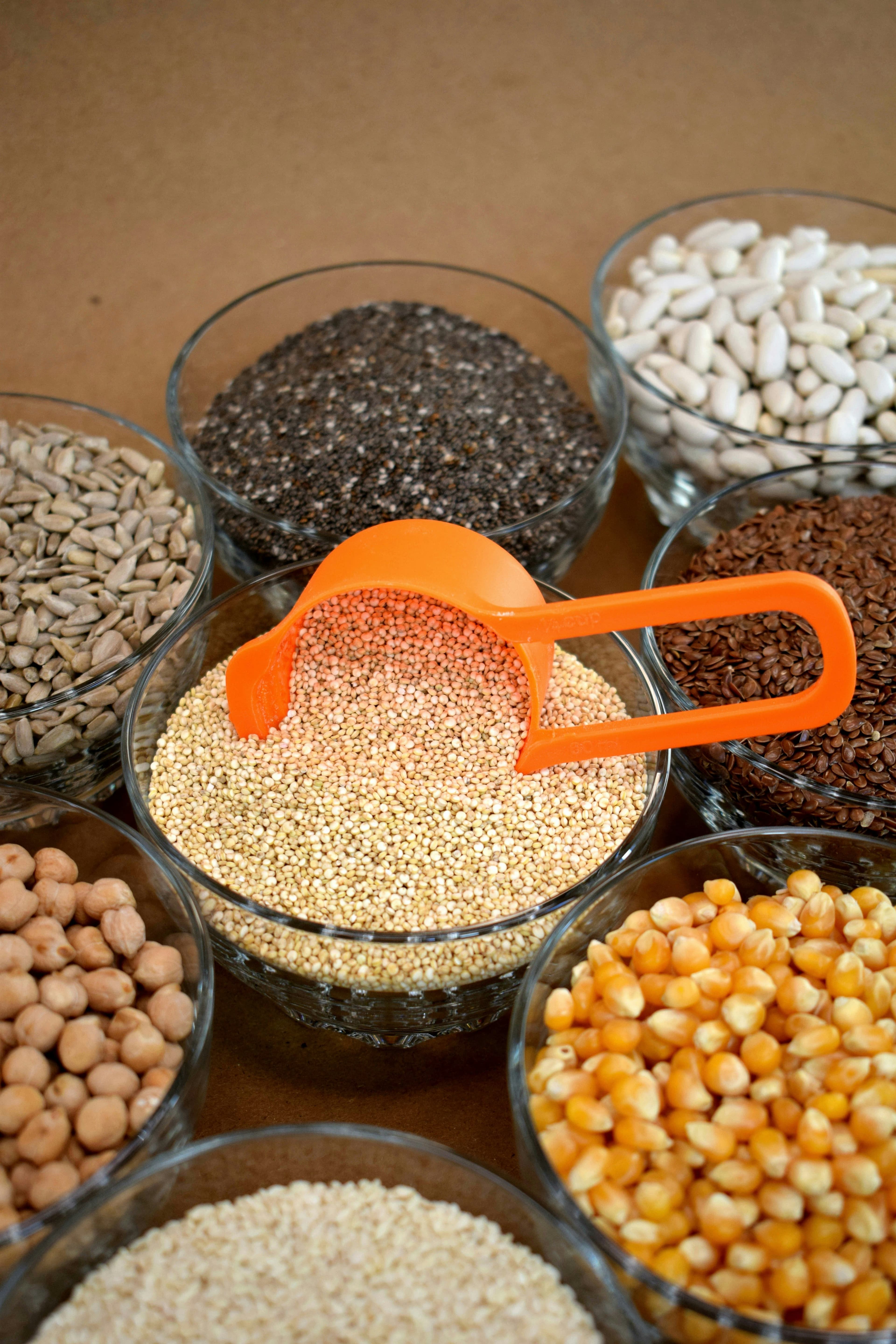 Botanical Seed Selection